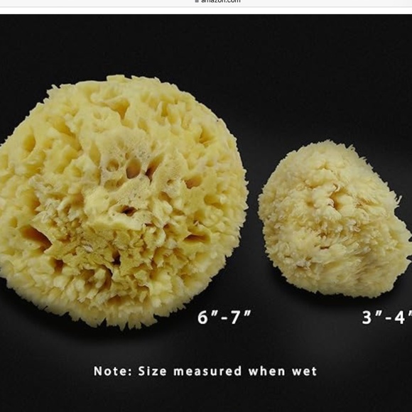2 pc natural sea wool sponge L + M Constantia Beauty New in Package,multiples - Picture 2 of 7